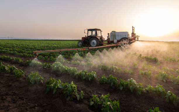 Best Wildlife Control Services  in Soap Lake, WA