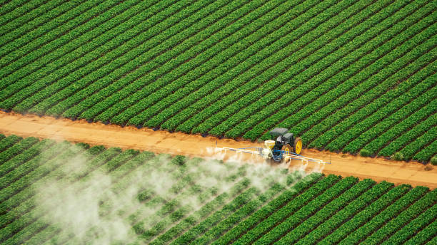 Best Local Pest Control Services  in Soap Lake, WA