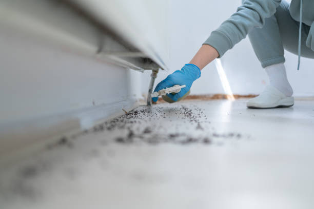 Best Emergency Pest Control  in Soap Lake, WA