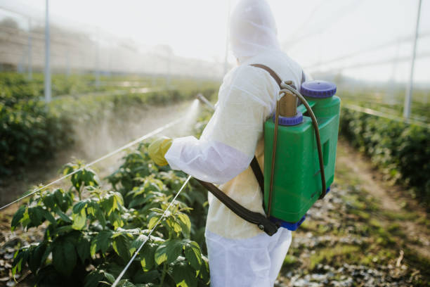 Best Wasp Removal Services  in Soap Lake, WA